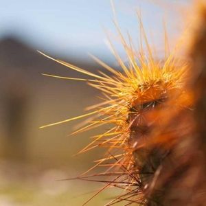 Meet your Posher, Thomas